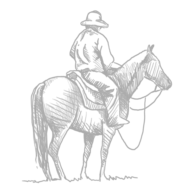 Horse Image