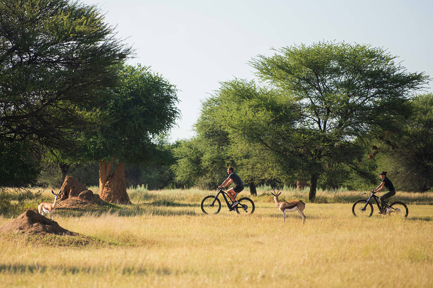 ebikes 4
