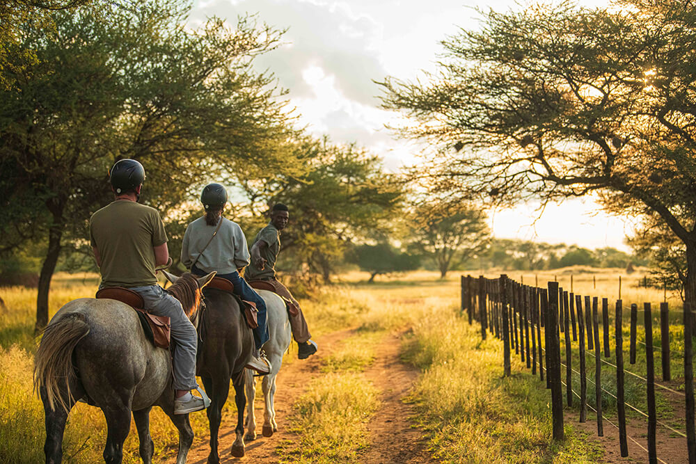 horseriding 5