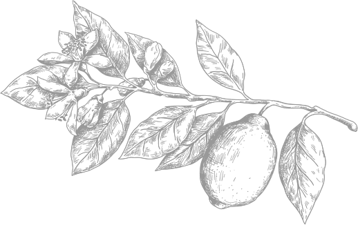 Fruit Image