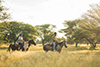 horseriding 6