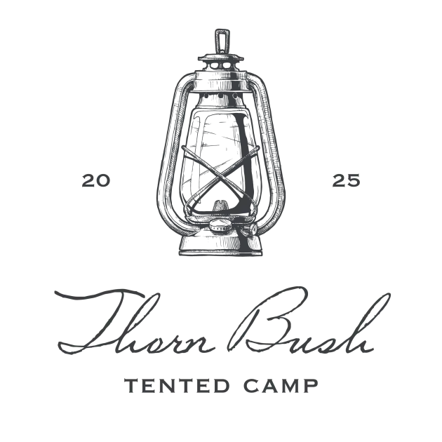 Thorn Bush Tented Camp